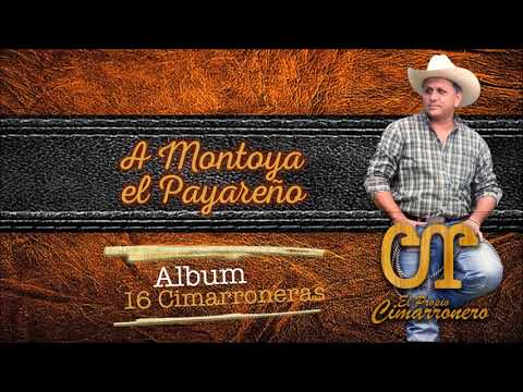 A Montoya el Payareño - Carlos Rico - Audio