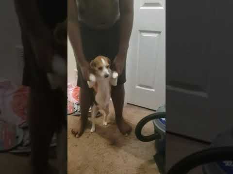 If you laugh you slap yourself