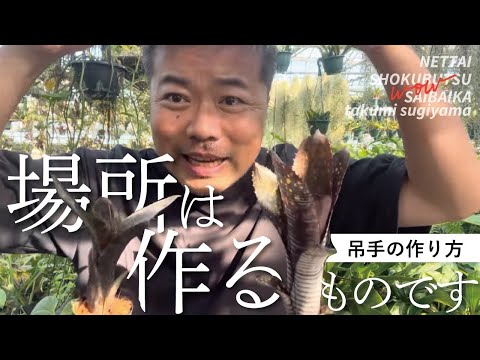 ブラウンクレーンズビル 植物