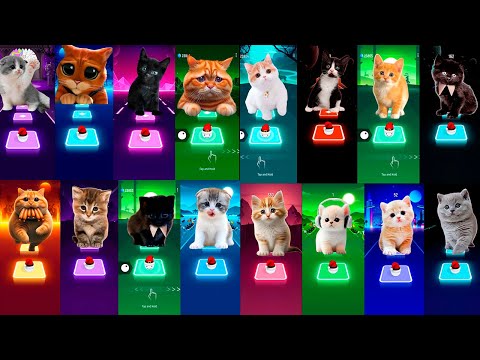 ALL CUTE CATS PT.2 - IMAGINE DRAGONS - WAKA WAKA - BTS - BLACKPINK - SAVAGE LOVE- MAROON 5 TILES HOP