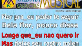Bela Flor   Maria Gadú   Karaoke
