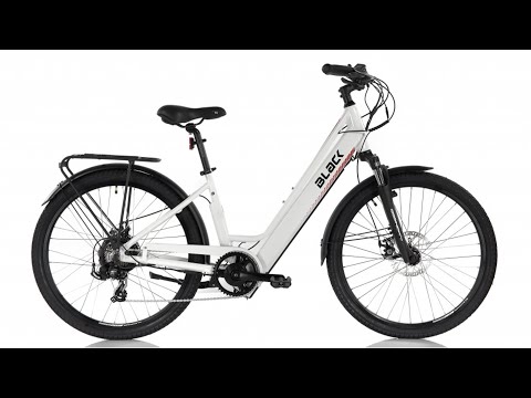 Meet the Family - BLACK CITY ELECTRIC BIKE