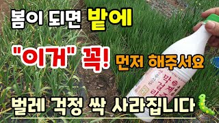 봄이 되면 밭에 이거 꼭! 먼저 해주세요 해충걱정 싹 사라집니다 벨레퇴치방법