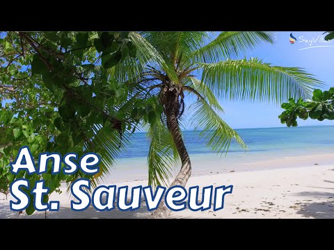 Anse St. Sauveur, Praslin - Beaches of the Seychelles