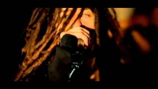 Shadows Fall - What Drives The Weak