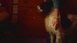 Training the limping trick