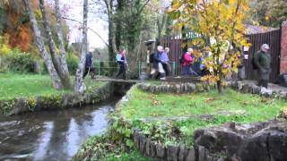 preview picture of video 'Swansea Ramblers crossing the ford at Parkmill on The Gower Peninsula'