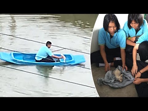 Schoolboy Uses Rowing Boat To Save Drowning Kitten