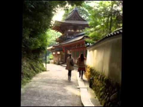 Donovan - Epistle to Dippy