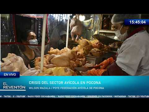 "EXISTEN GRANJAS QUE NO PODRÁN RECUPERARSE DEL BLOQUEO" MILES DE PRODUCTORES EN LA QUIEBRA