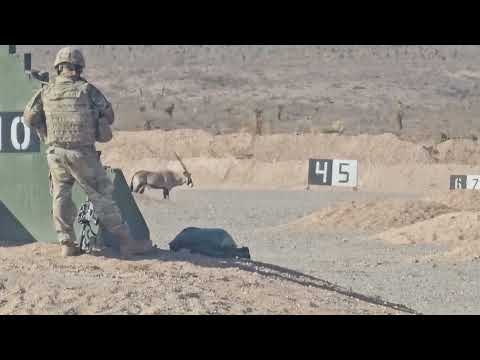 Oryx During M4 Range