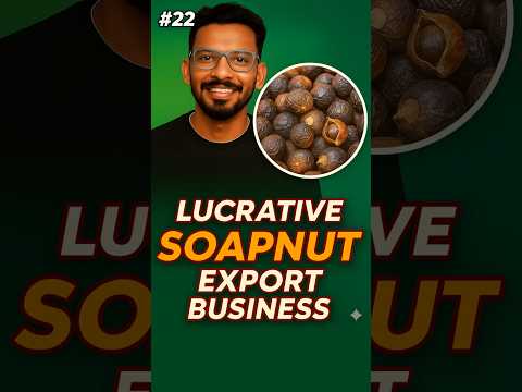 Soapnut Business in India | Export Business Idea 💰 | High Profit Business | Soapnut Export