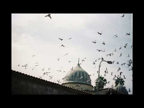 divine - midwest emo/pop punk/emo instrumental [free]