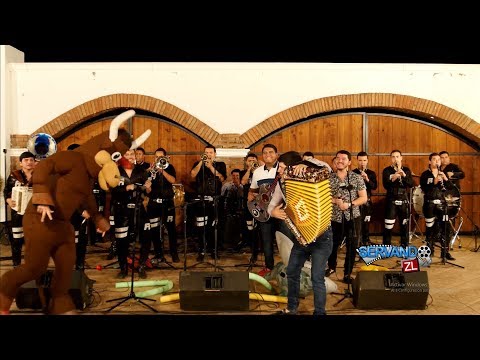 Los Nuevos Ilegales Ft. Banda Renovacion - Para No Verte Mas (En Vivo 2017