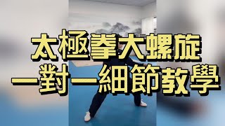 太極拳大螺旋｜一對一細節教學｜全身協調與勁力運行｜Taichi Big Spiral One-on-One Training#太極拳 #太極拳老架一路 #大螺旋 #纏絲勁 #陳氏太極拳