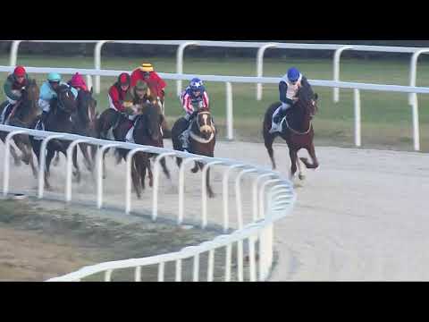 2017.11.05. 9. futam - YPSILON KING HENDIKEP (V/b.) (szintetikus pálya)