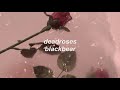 deadroses // blackbear (lyrics)