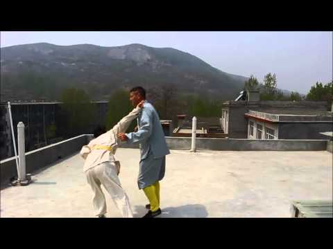 Shaolin Hidden Fighting Techniques