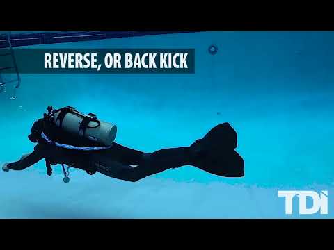 TDI 07 Scuba Diving Finning Techniques recommandé par #esoxdiving
