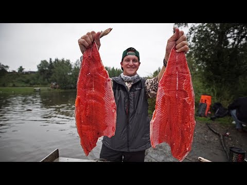 download lagu mp3 mp4 Alaskan Fresh Fish, download lagu Alaskan Fresh Fish gratis, unduh video klip Alaskan Fresh Fish