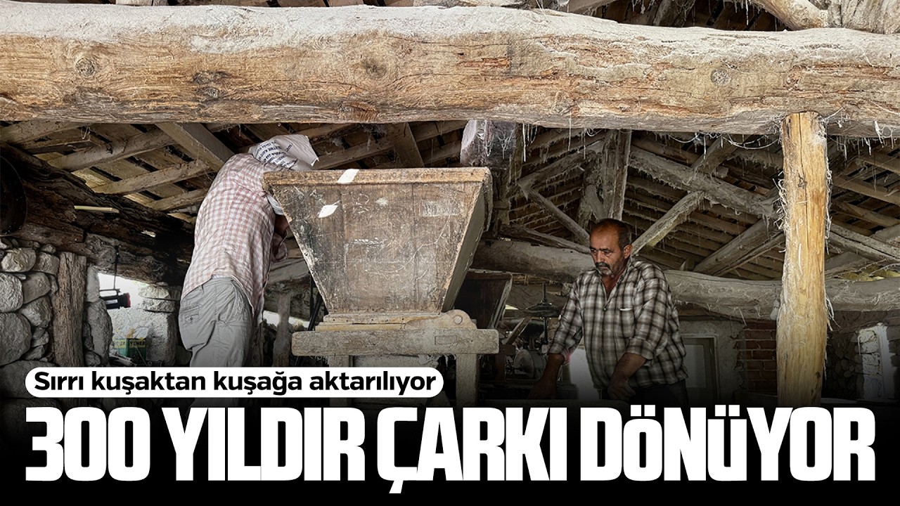 Samsun'da 300 yıllık su değirmeninde un öğütülüyor