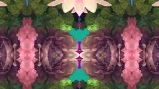 Say You Love Me (by Rodney Crowell live in Dublin 2004)