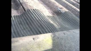 every sunday morning