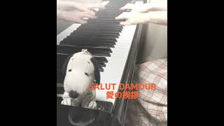 Download lagu SALUT D’AMOUR愛の挨拶作曲E.Elgar  #short #salutd’amour#あいのあいさつ#エルガー#classic#piano mp3