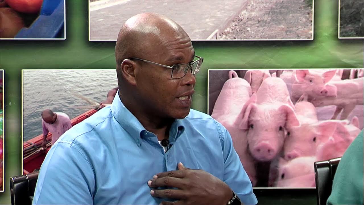 Agriculture on the Move (November 20, 2024)