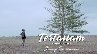 Download lagu TERTANAM - TONY Q RASTAFARA COVER (DHEVY GERANIUM) mp3