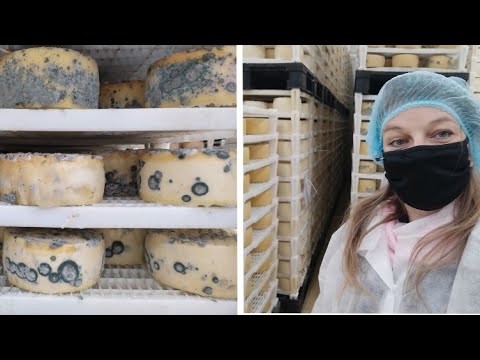 🧀ATRAKCJA NA WYSPIE PAG -GLIGORA PAG FABRYKA SERÓW