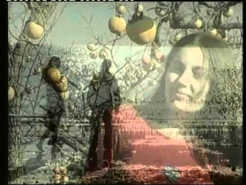 Shkelqim Kola - Pranvera fundit