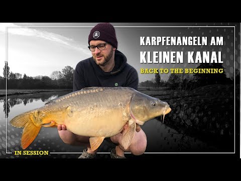 In Session | Karpfenangeln am kleinen Kanal | BACK TO THE BEGINNING