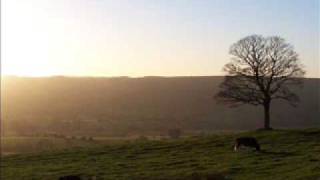 Melissa Auf Der Maur - Followed the Waves