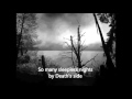 Woods of Desolation - Darker Days - Lyrics 