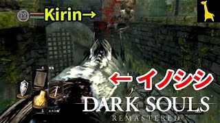 【ダークソウル リマスター】字幕実況#4 城下不死教区 PS4版 DARK SOULS REMASTERED