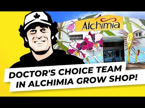 Alchimia
