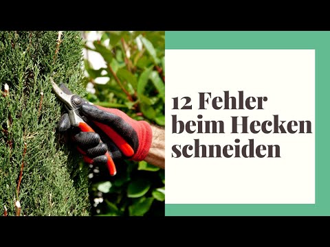 12 Fehler, die Sie beim Hecke schneiden vermeiden sollten