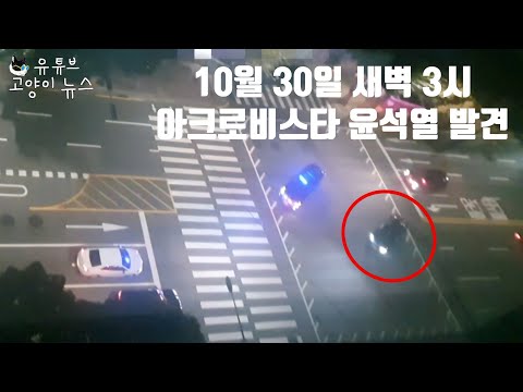 [유튜브] 이태원 10.29참사 3시에 윤석열 집가는 동영상