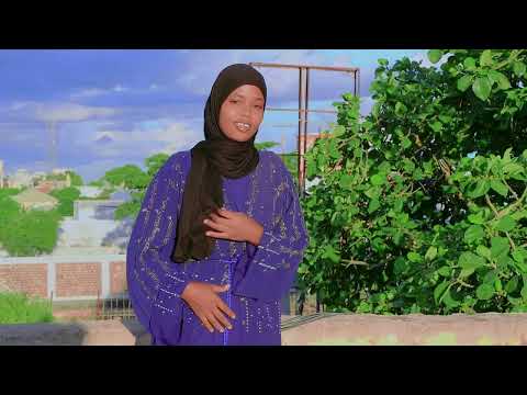 HEES CUSUB AMINO ARAGSAN RAGO DAMIIRKE WAKE 2025