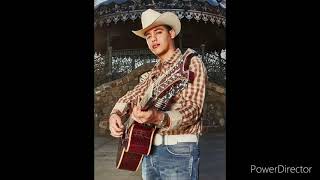 Nido caido Ariel Camacho