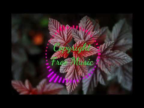 Bubbles Drifting In The Morning Breeze – Akosmo & Artificial.Music (Copyright Free Music)