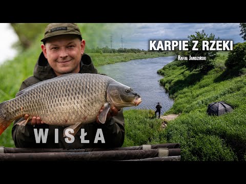 CARP FROM THE RIVER - VISTULA - How to catch river carp!!!