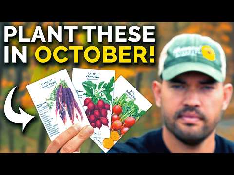 11 Crops To Plant In October, No Matter Where You Live