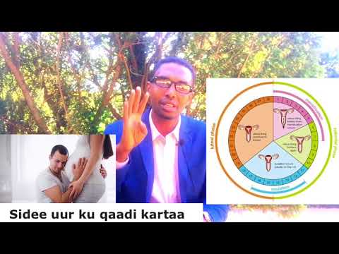 download lagu mp3 mp4 Cadceed, download lagu Cadceed gratis, unduh video klip Cadceed