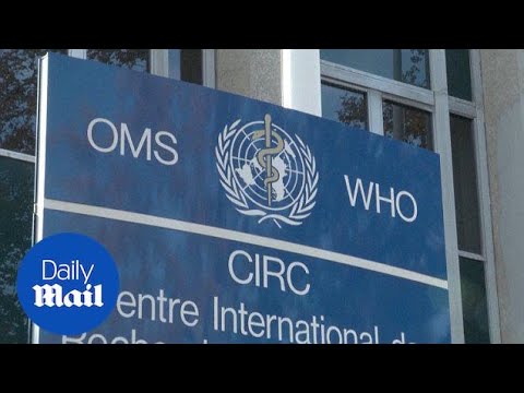 WHO agency say processed meats can lead to cancer - Daily Mail