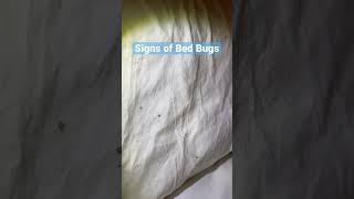 One Sign of Bed Bugs: Ink-Like Stains #bedbugs #bedbugsigns