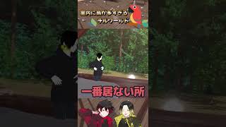 【VRChat】鳥鳥鳥！室内に鳥が多すぎるチルワールド #ゲーム実況 #vrchat