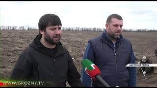 В Чечне в рамках акции "Вахта памяти" найдены останки красноармейцев 