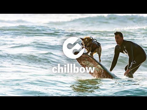 oilix - Nice Weather For Surfing